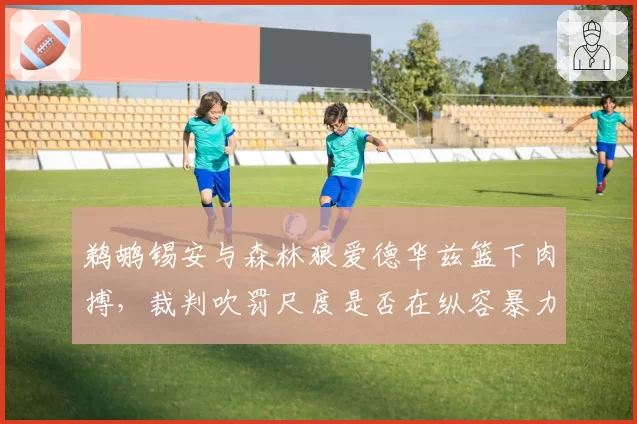 鹈鹕锡安与森林狼爱德华兹篮下肉搏,裁判吹罚尺度是否在纵容暴力倾向?